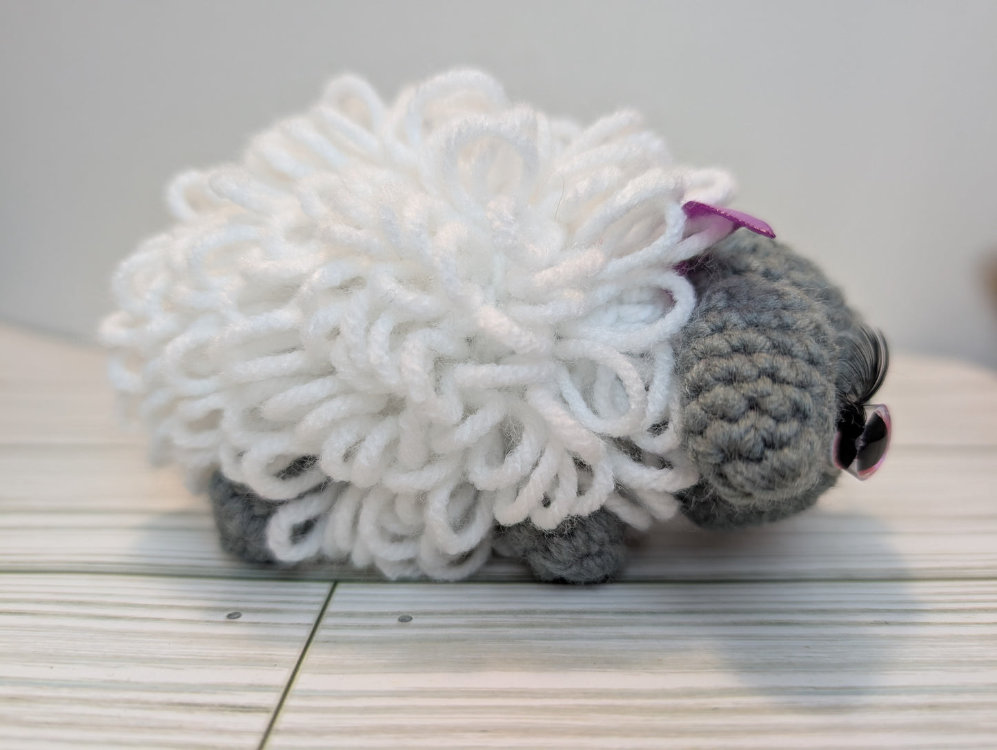 Sheep
