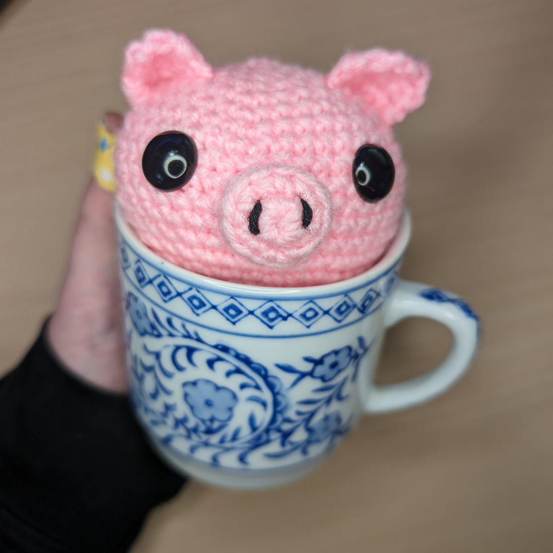 Teacup Pig