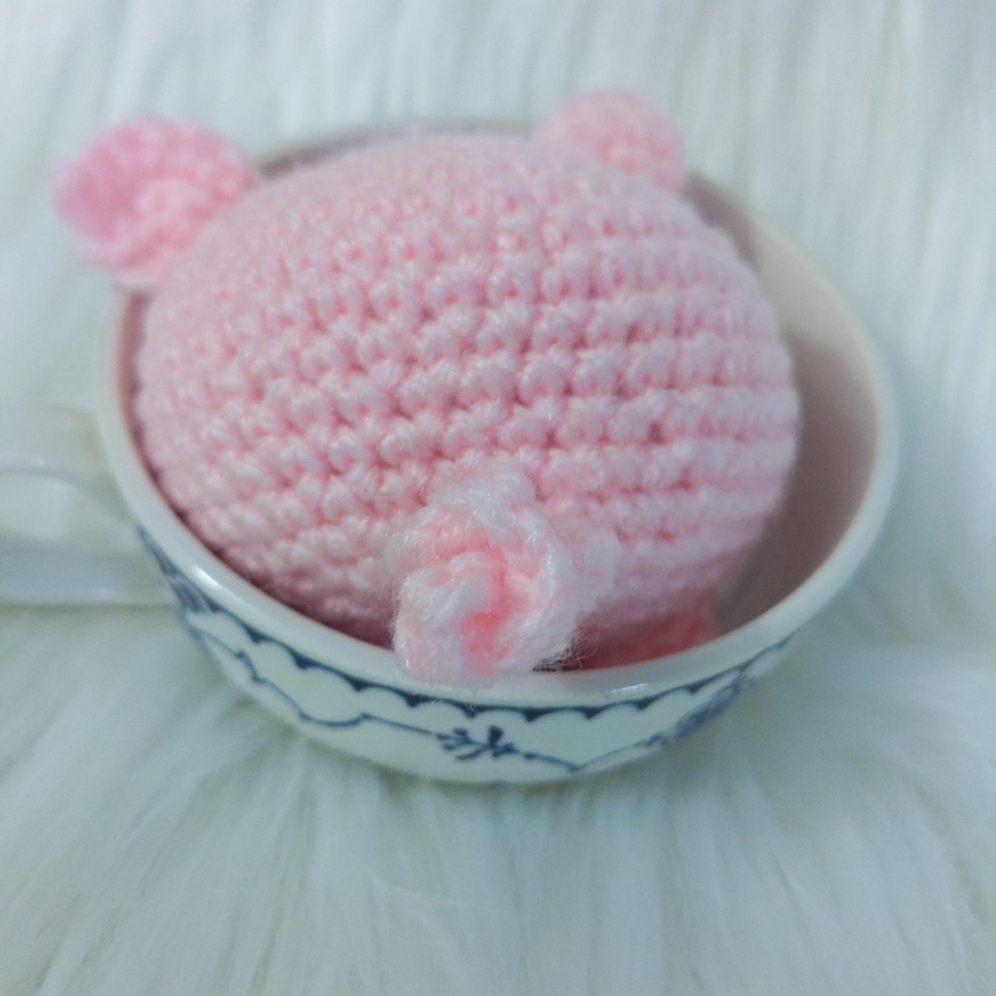 Teacup Pig