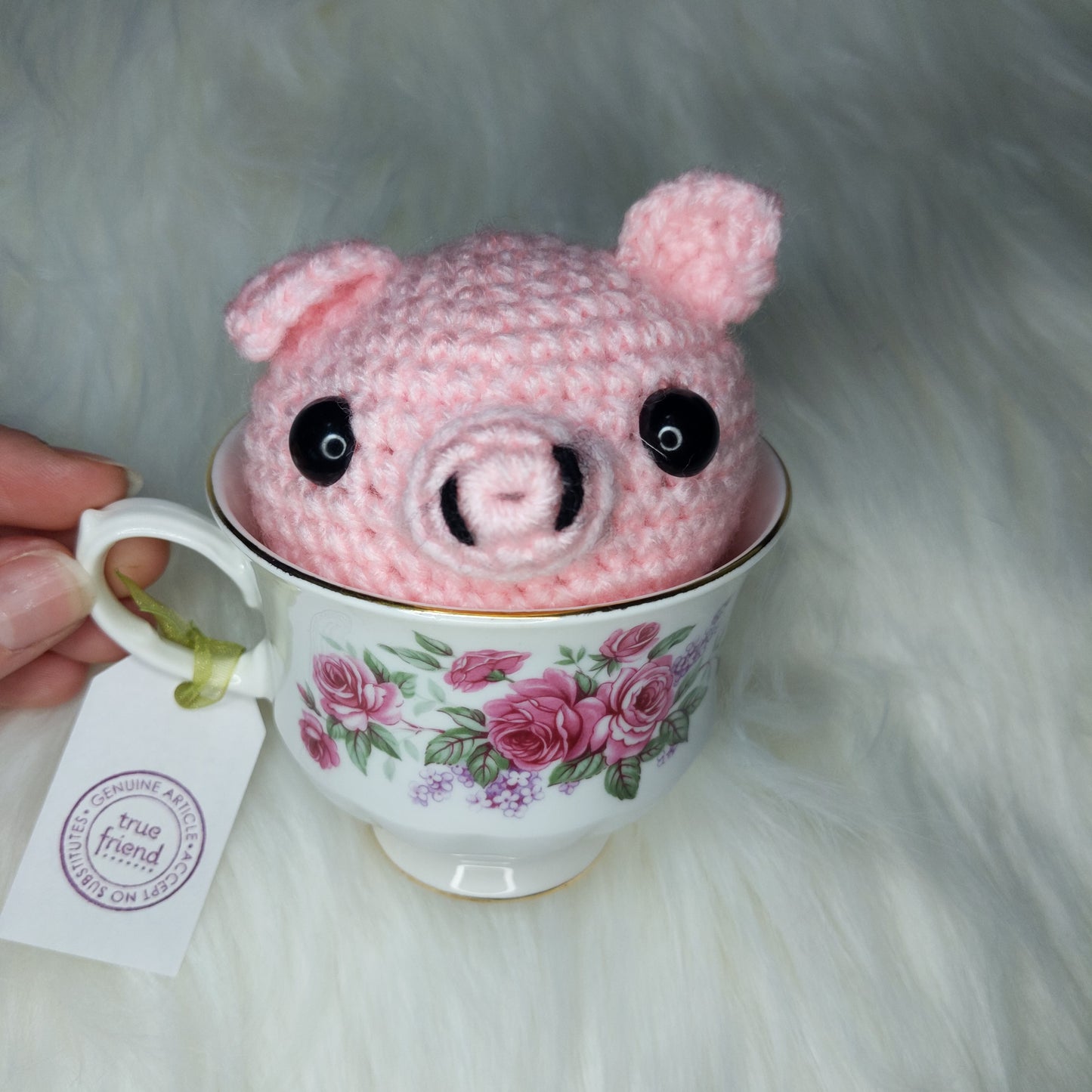 Teacup Pig