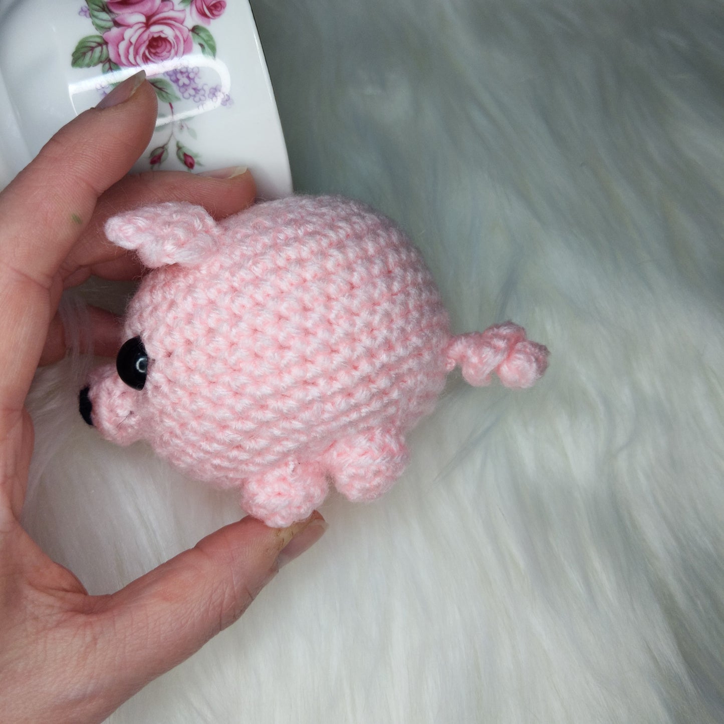 Teacup Pig