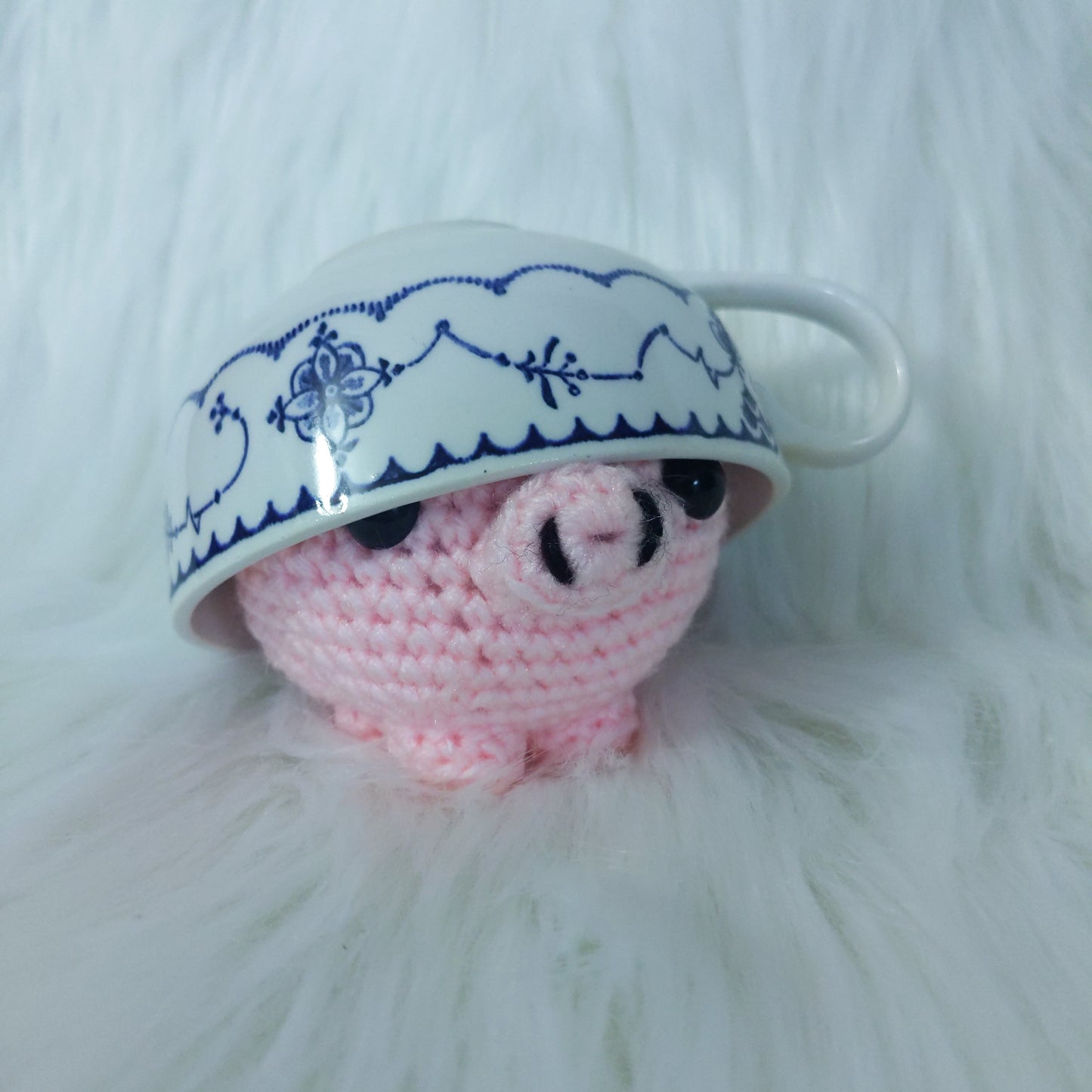 Teacup Pig